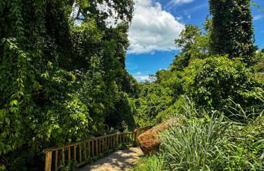 Manduvi - Photo 21