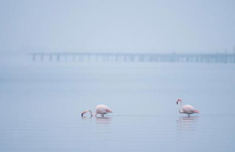 Casa Josep - Foto 62