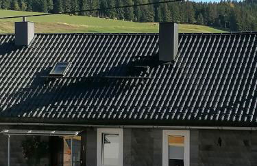 Große Ferienwohnung am Rennsteig - Foto 1