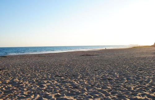 Coto de Sancti Petri - Foto 66