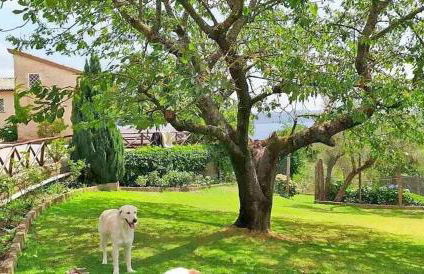 Casale Sant'Egidio - Lago di Bolsena - Foto 15