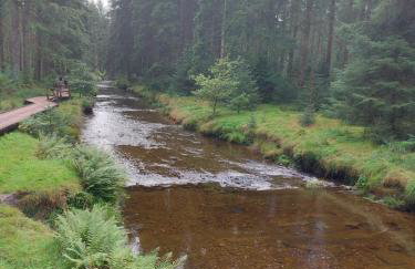 Alpaca cabin-mountain view-hot tub-rural retreat - Foto 41