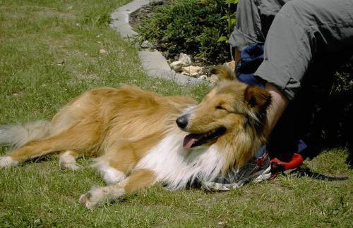 Ferienwohnungen Holder - Photo 32