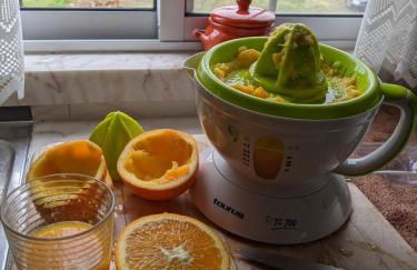 Rural Retreat - Quinta Sol 3 Bedroom House - Nazaré, Portugal - Photo 21