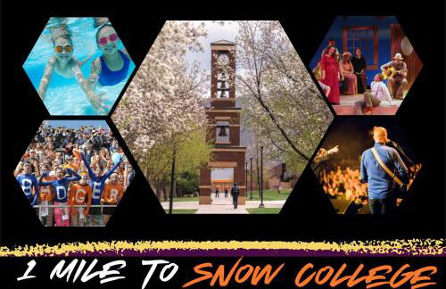 Badger Den: 1mi.Snow College~ Wash/Dryer~Climb - Foto 21