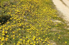 dal tramonto all'alba in Salento - Foto 28