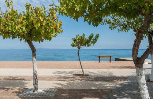 Areti Apartments - Foto 29