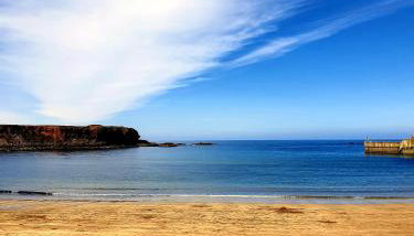 The Herring Queen - Foto 3