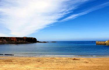 The Herring Queen - Foto 3