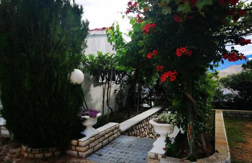 Family Apartments K&M - Photo 23