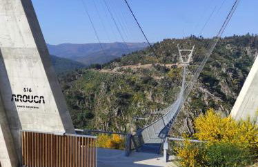 Quinta da Vinha do Souto - Foto 38