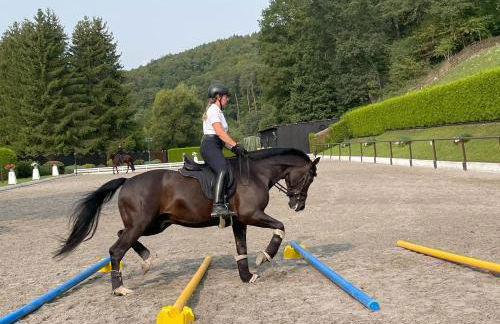 Auszeit am Hasenberg - Foto 22