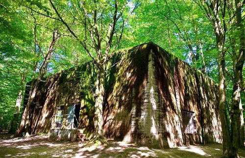 Góra Spokoju Osada klimatyczna-leśna - Foto 21