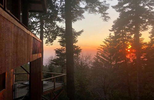 Contemporary Treetop Cabin with a Luxury Hot Tub in Idyllwild, California - Foto 1