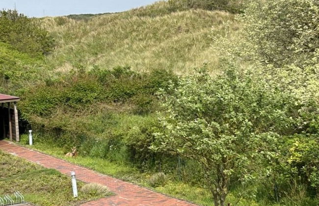 Klabautermann Maywald - Foto 12