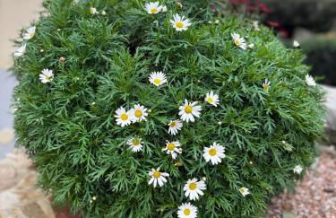 Casa Poggivecchi - Foto 37