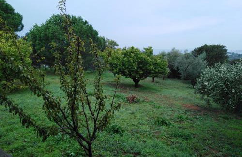 Villa Aliki - Foto 38