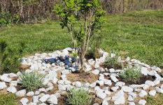 Cinema House Mazury - Foto 52