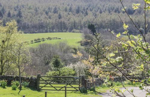 Swallow Cottage - Foto 21