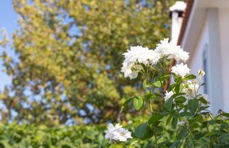 Lagos House Α - Photo 32