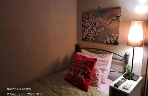 Zoe garden home - Photo 67