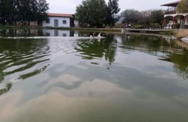 Cabañas Los Pocitos - Foto 20