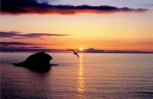 The Haven - Photo 42