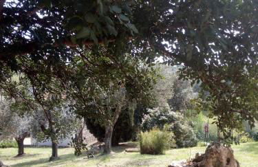 Case Cordovani - Foto 48