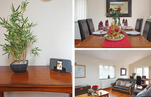 Carne Vue - Photo 10