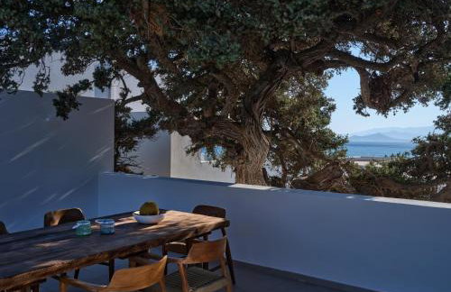 Private Luxury Scarlet beachfront villa, Molos, Paros - Photo 28