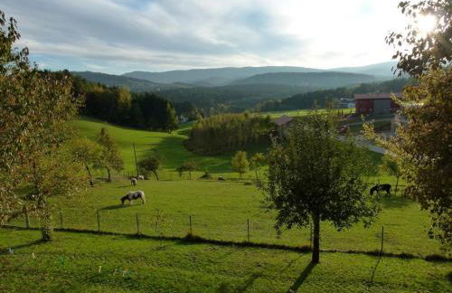 Ferienwohnungen Weghofer F**** (Viechtach) - Foto 12