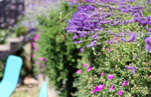 Apartman Kalinda - Photo 34