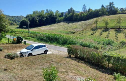 Villa Arboreta - Foto 9