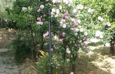 La casa del Maestro - Foto 54