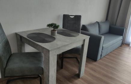 Hotel Fortuna - Foto 59