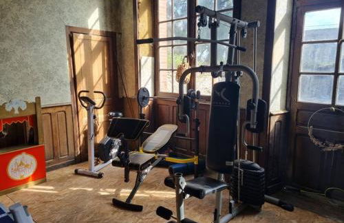 Grande maison familiale plein centre vieux Laval - Foto 19