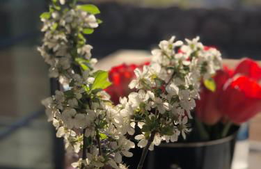 Reethus Linda - Foto 40