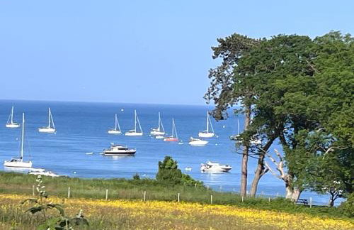 Studland View Cottage - Foto 14