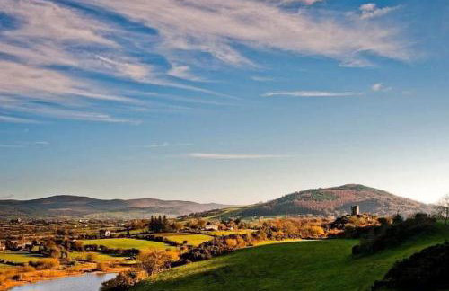 Number Twelve - Foto 1