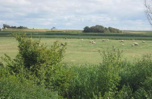 Ferien auf der Sönnenswarf - Photo 21