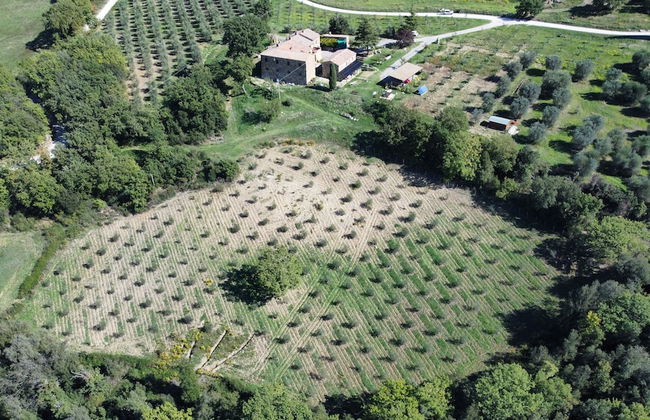 La Moiana 1756 - Foto 42