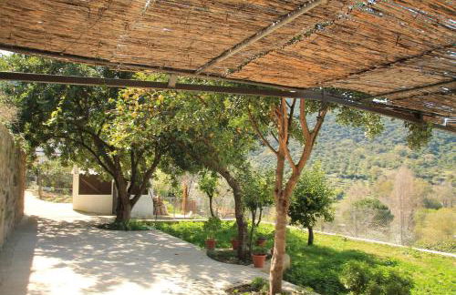 La Fuente De El Nacimiento - Foto 8