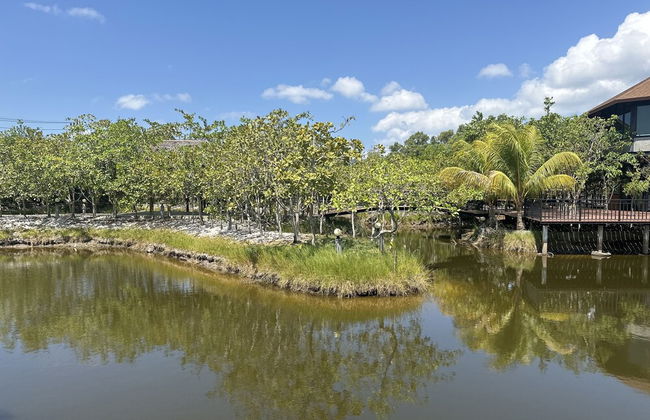 The Beatles Lagoon - Photo 74