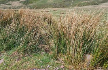 The Roxy Retreat 3 Bed in Aberdare - Foto 29