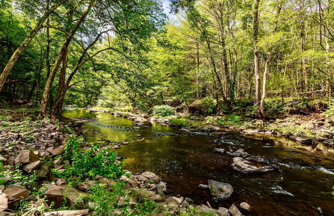 Family Fun Oasis Hot Tub Steam Room Pool Stream Firepit Games - Foto 6