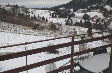 Apartman Skender 3* Ravna Gora - Foto 19