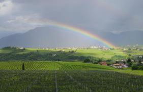 Oberberghof - Foto 38