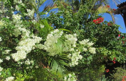 Vila da Sol Itaipava casas e estúdios - Foto 62