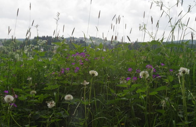 Apartment Katya - Foto 14