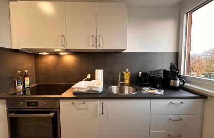 MiCasa TuCasa - 2-R-Apartment Leipziger Neuseenland Vega - Foto 13